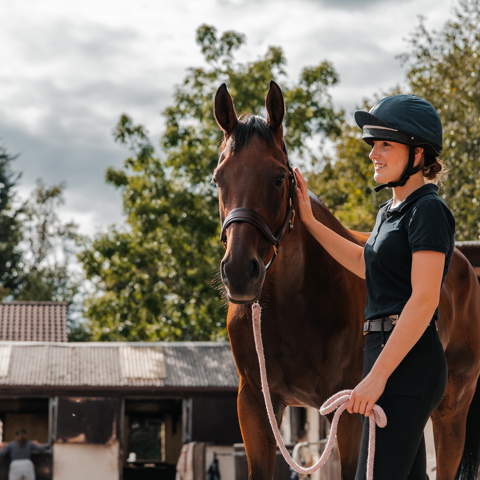 Horse Human Bond (1)