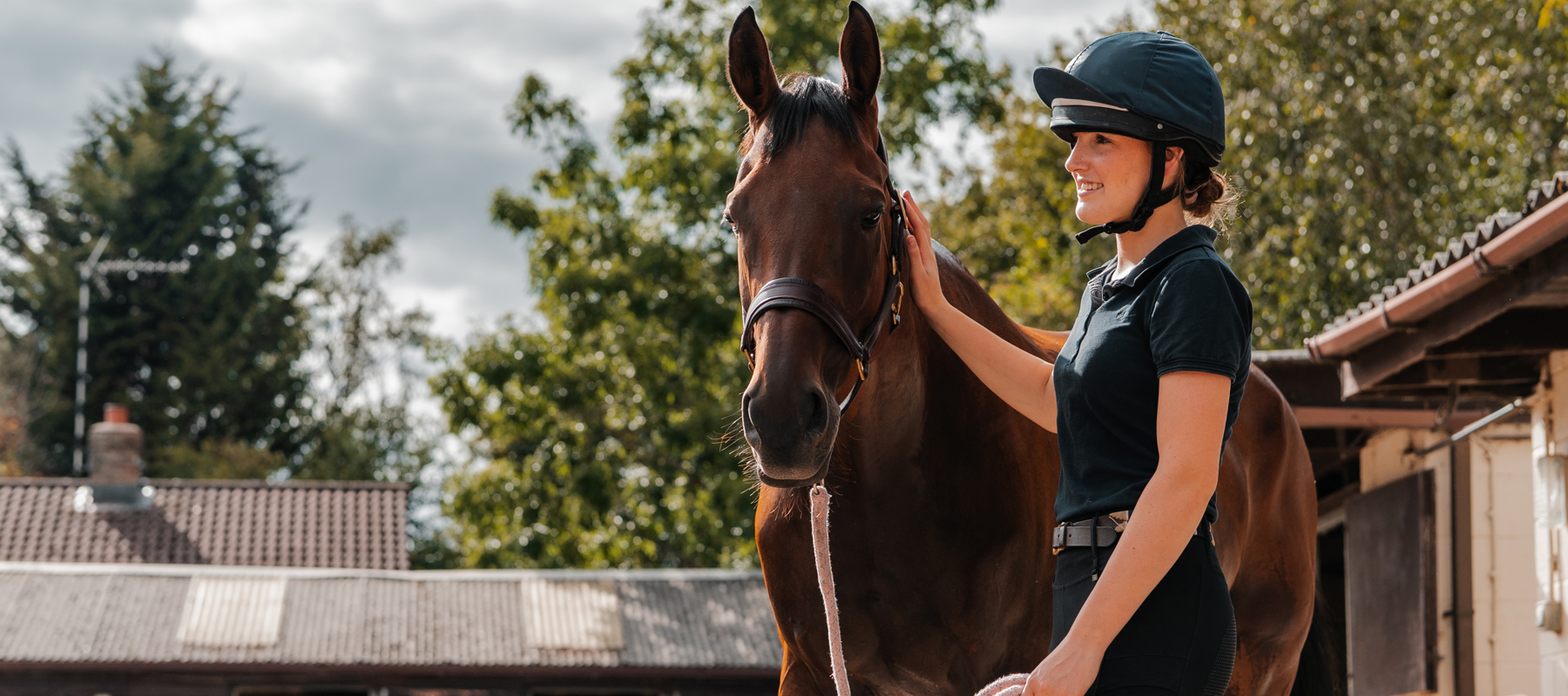 Horse Human Bond (1)
