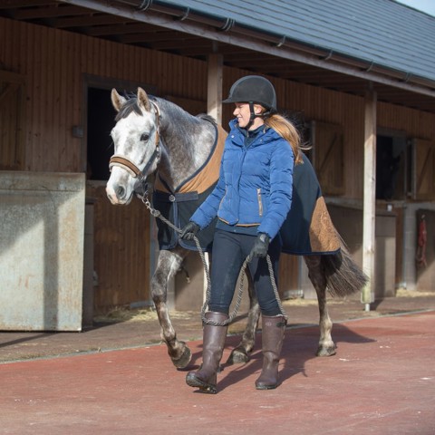 rider and her horse walking