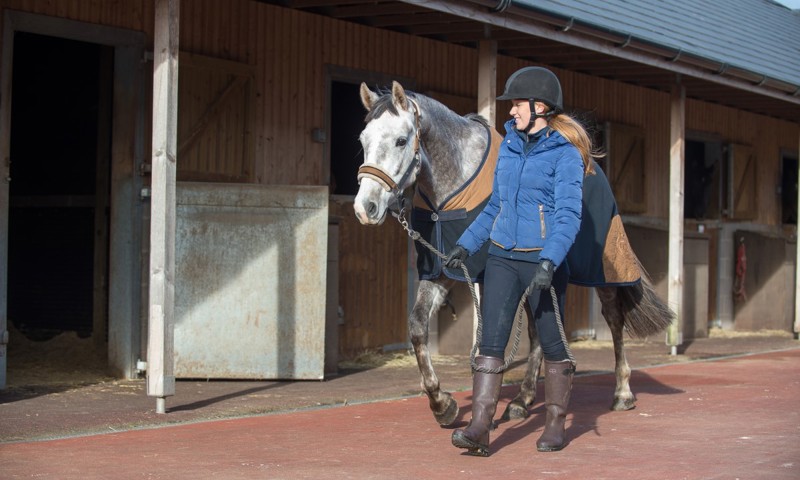 jamaica bay riding academy instagram