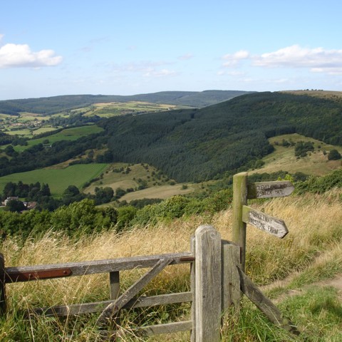 Access Bridleway To Dialstone