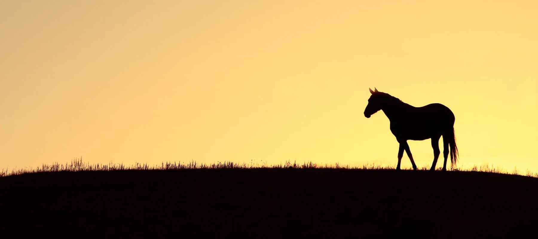 117 Shutterstock 86146966 Need To Check Permission