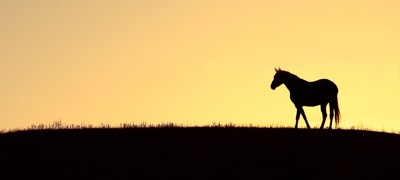 117 Shutterstock 86146966 Need To Check Permission