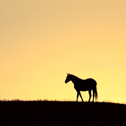 117 Shutterstock 86146966 Need To Check Permission