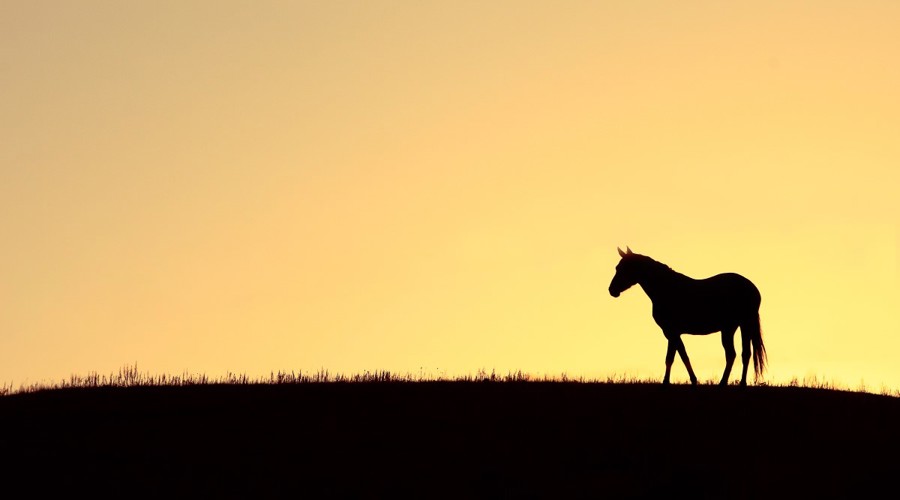 117 Shutterstock 86146966 Need To Check Permission