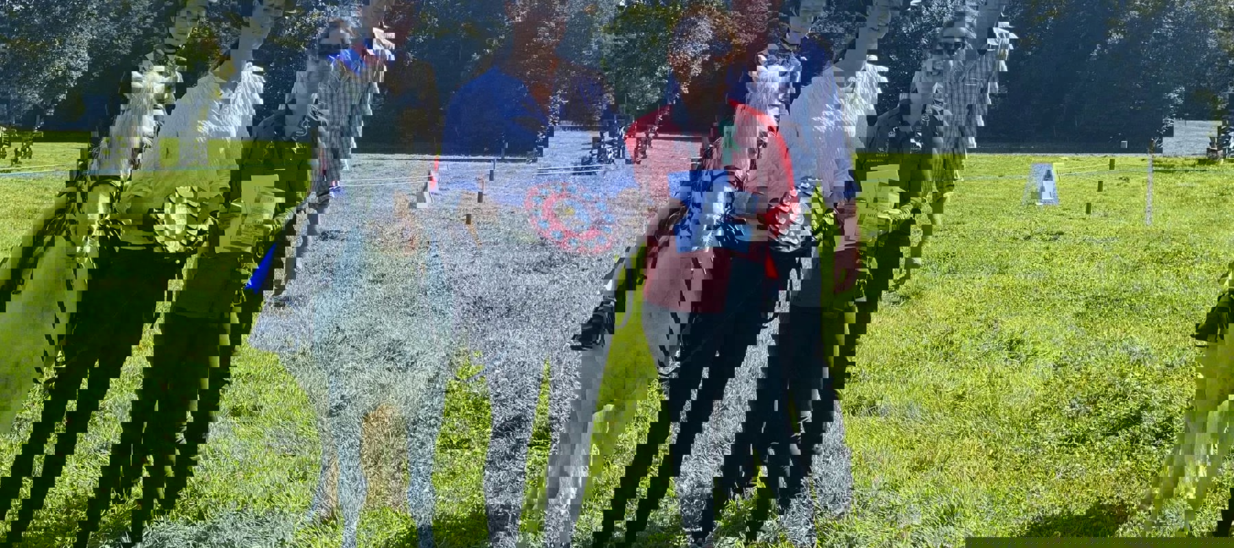 Dumfries House Show Image